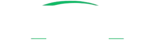 球进了直播